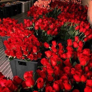 ♚🖤ꦿꦾ̅ᷢ⃧🇷ꦿꦾ̅ᷧ⃧🇦ꦿꦾ̅ͩ⃧🇩ꦿꦾ̅ᷠ⃧🇳ꦿꦾ̅ͦ⃧🇴ꦿꦾ̅ꙷ⃧🇾ꦿꦾ̅ᷞ⃧🇱ꦿꦾ̅ᷧ⃧🇦ꦿꦾ̅ᷢ⃧🇷ꦿꦾ̅⃡❤️❁ ❦: