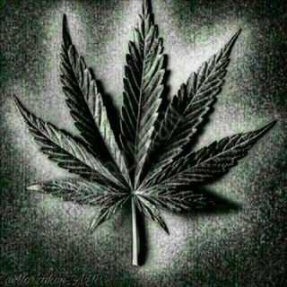 𝕯𝖊𝖗𝖘𝖐𝖎𝖞 𝖈𝖍𝖆𝖙