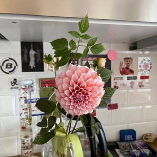 Домик Марты