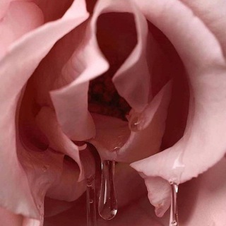 Секс, книги и сигареты