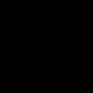 шабит хапаев шоп