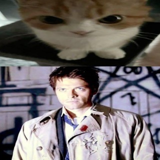 лesya zieht [☀️]