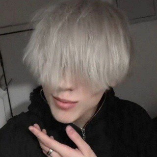 звёзды от шадова