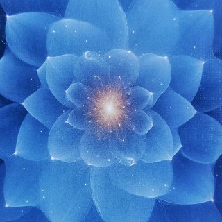 ШАМАНПОРТАЛ