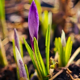 Шаман в городе