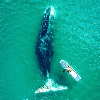 shantartravel-путешествия и туризм в России