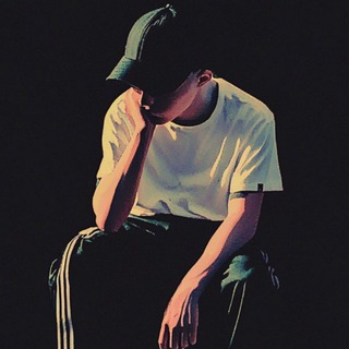 Шарик тв инфа