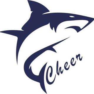 СК «Акулы» 🦈 ЧИР СПОРТ