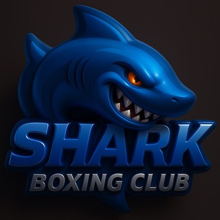 SHARK BOXING CLUB🦈
