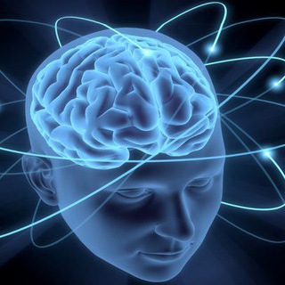 ꧁♕Your Brain♕꧂