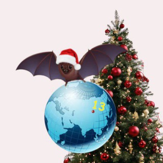 ШАНС МАОУ СОШ №13 🦇