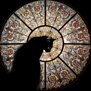 Ведьма из Полиса