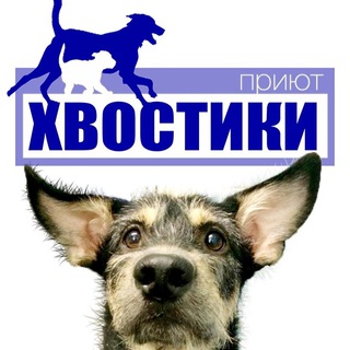 Приют «Хвостики» Адлер