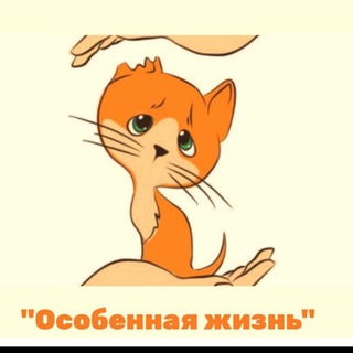 Животные Ростов, Волноваха, Мариуполь. Корм, лечение, поиск дома.