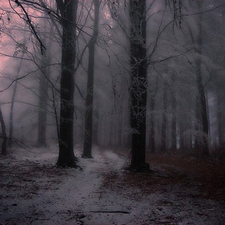 𐙚₊соль ne ⲡυⲱⲉⲧ₊.۶ৎ🪦