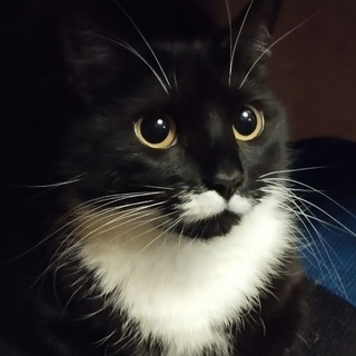 Книжные полки холодного подвала 📚