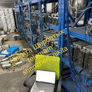 Майнеры с Шеньчженя Карго Чат