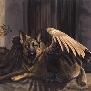 Приют немецких овчарок Мухтарики