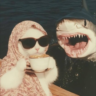 Шерше ля мем