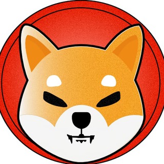 Shiba Inu Nigeria