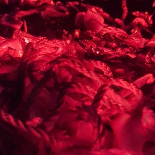 Поборник радикальной толерантности 18+