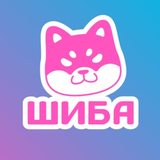 — shiba’s blog 🐕🇯🇵🌸 —