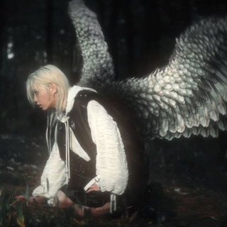 ¸.··.¸¸.·¯⍣ Shifyd ⍣¯·.¸¸.··.¸