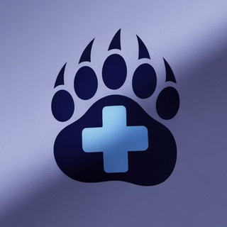 Виктор Шилин