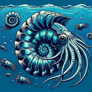 Морской флот⚓️Музеи РФ и мира 🌍