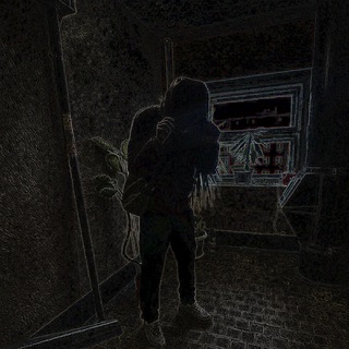 SHIRANUKICH x CASHOUT PLUG