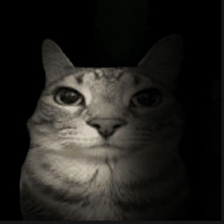 кто сюда мемы постит