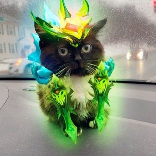 Шиза Дашидика | Dota 2