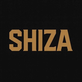 Шиза из комментариев