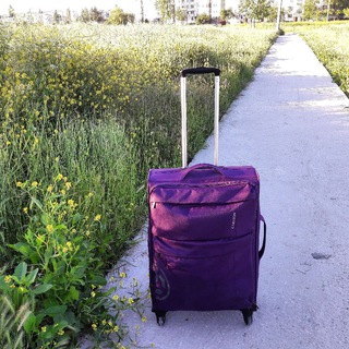 Дом, метро и книжный шкаф