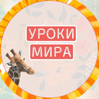 Уроки Мира — первый проект про ННО для педагогов.