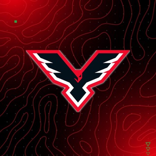 СДЮШОР «Пинские ястребы»