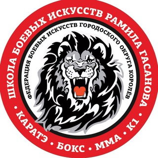 Спортивный клуб: «Федерация боевых искусств городского округа Королёв».