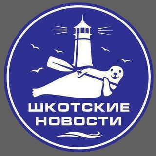 Шкота новости