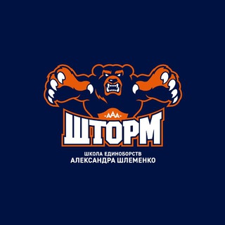 Школа единоборств «ШТОРМ»