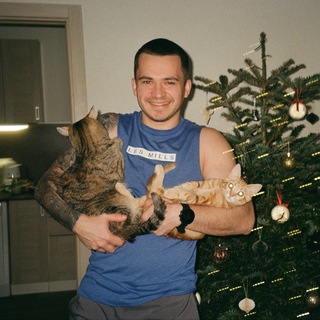 фитнес, зож и два кота