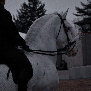 ♡Ꮇᴀᴦᴀɜин ᴨᴏ "Ꮃild Ꮋᴏrsᴇ Ꮖslᴀnds"♡