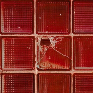 Шпаргалки | ЕГЭ 2026