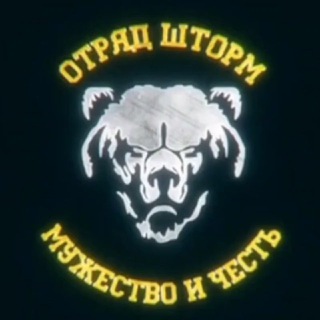 Отряд Шторм