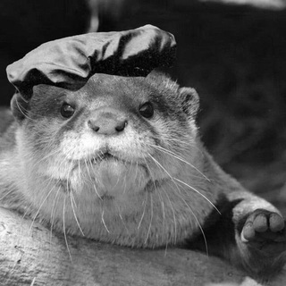 ШТРОШЕРЕР В АДУ (ЛЕНТА СОБЫТИЙ)