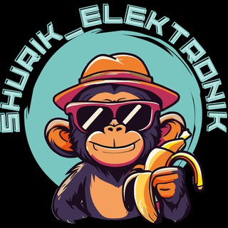 🖥️Shurik_Elektronik_Spb💻