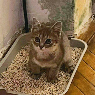 шутки про говно