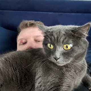 Шайло. Книги и не только.