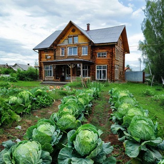 Деревенская жизнь в Сибири