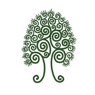 Сибирский кедр🌲