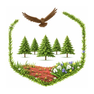 Санаторий «Сибирская здравница»